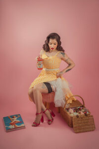 ensaio-pinup-retro-vintage-picnic-sensual (1)